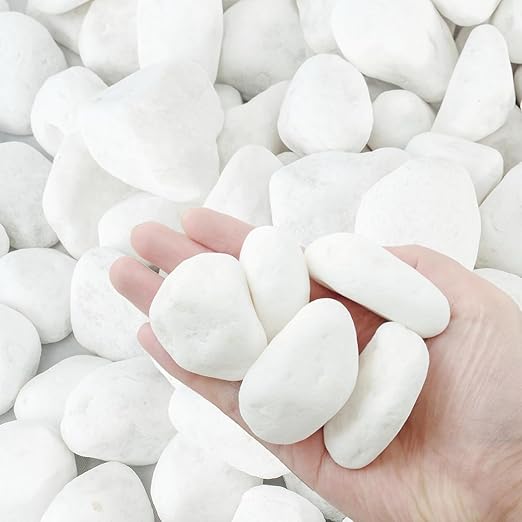 White Rocks for Plants, 2-3 Inch Large Pebbles for Indoor Plants, 5 lbs River Rocks Decorative White Stones, Ideal for Fish Tank, Vases, Crafting, Home Decor and Garden Landscaping Rocks