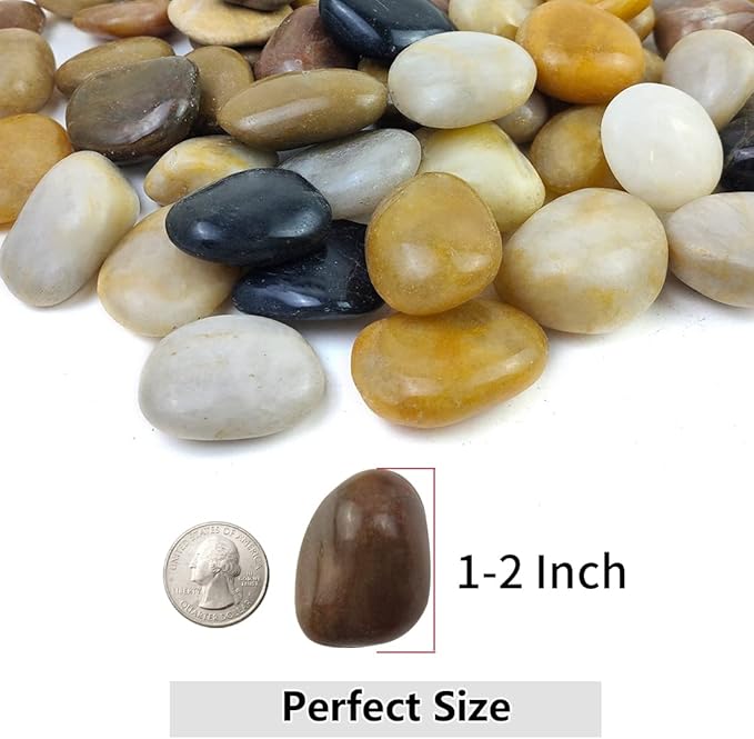 2lbs Pebbles for Indoor Plants, 1-2 Inch Mixed Color High Polished River Rocks Outdoor Decorative Stones Vase Filler Fish Tank Aquariums Landscaping Garden Outdoor and Indoor DIY