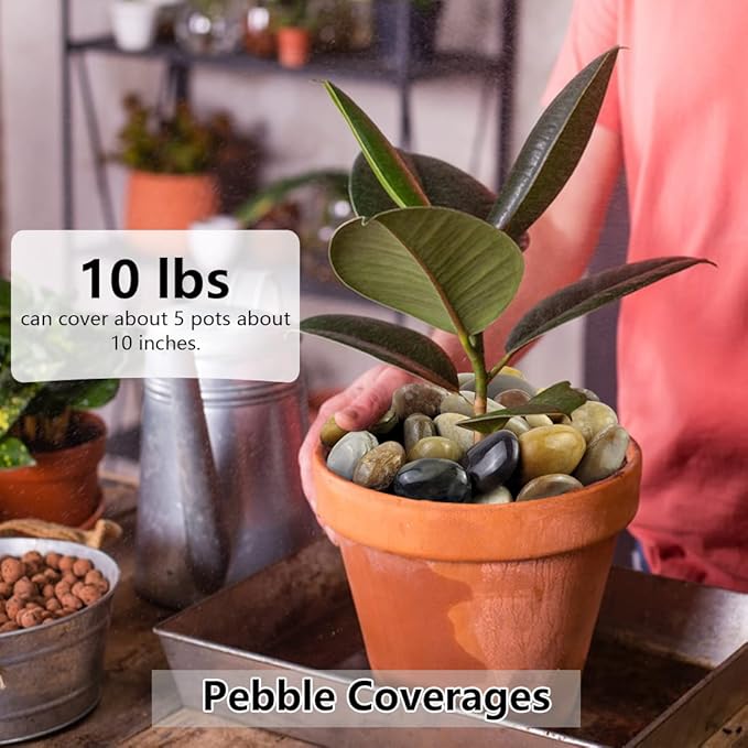 2lbs Pebbles for Indoor Plants, 1-2 Inch Mixed Color High Polished River Rocks Outdoor Decorative Stones Vase Filler Fish Tank Aquariums Landscaping Garden Outdoor and Indoor DIY