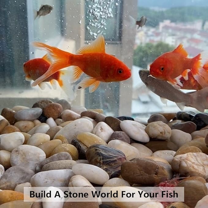 Pebbles for Indoor Plants, Natural Polished River Rocks, Small Decorative Mixed Color Stones for Planters Vase Fish Tank Aquariums Landscaping Garden, 2lbs