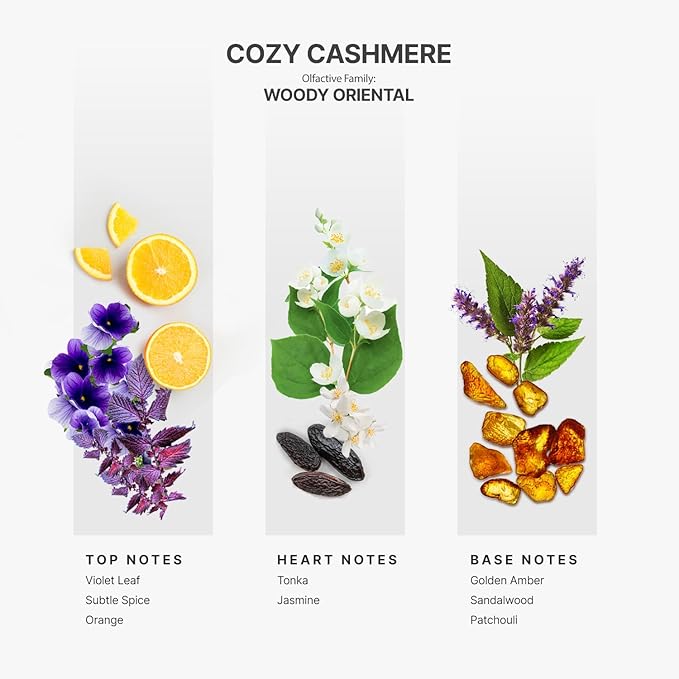 AromaPlan Hotel Scents Cozy Cashmere 5 Fl Oz (148ml), Home Luxury Aroma & Hotel Fragrance Diffuser Oil- Hotel Diffuser Oil for Aromatherapy- USA Made, Bigger Bottle, Bolder Aroma & Longer Lasting