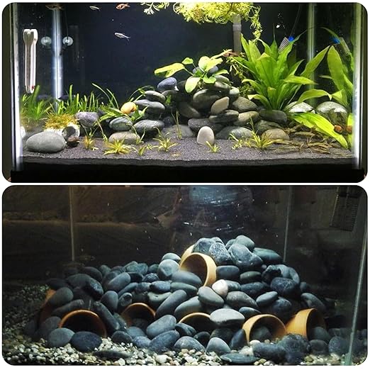 2-3 Inch Black Pebbles for Plants, 10 lbs River Rocks Decorative Black Stones, Ideal for Fish Tank, Vases, Crafting, Home Decor and Garden Landscaping