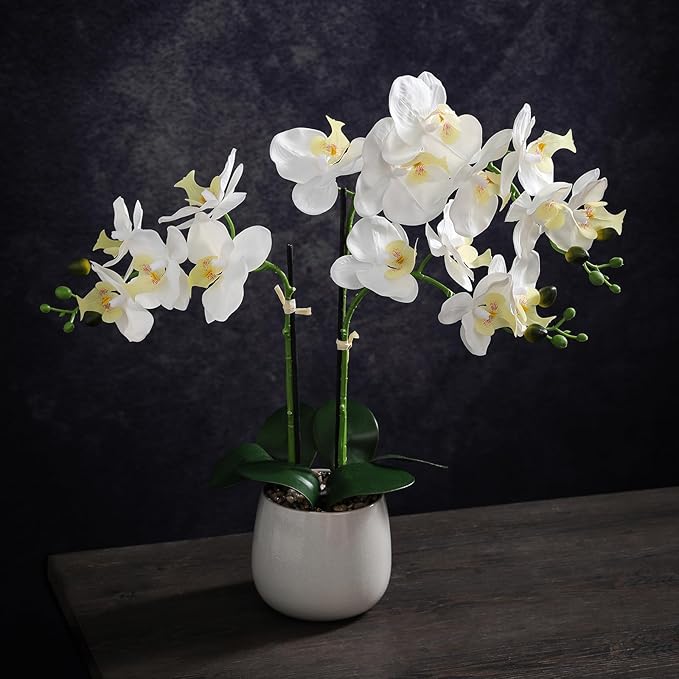 Artificial White Orchid Plant in Gray Ceramic Pot, Realistic Faux Flowers Indoor Decorative Display, 21-Inches Tall, Non-Allergenic, Maintenance-Free