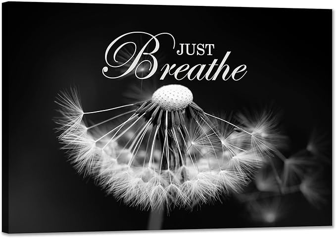 SKASNFAI Zen Wall Art Just Breathe Canvas Picture Positive Inspirational Dandelion Framed Artwork Poster Mental Health Office Pictures Wall Decor for Bathroom (16L x 24W)