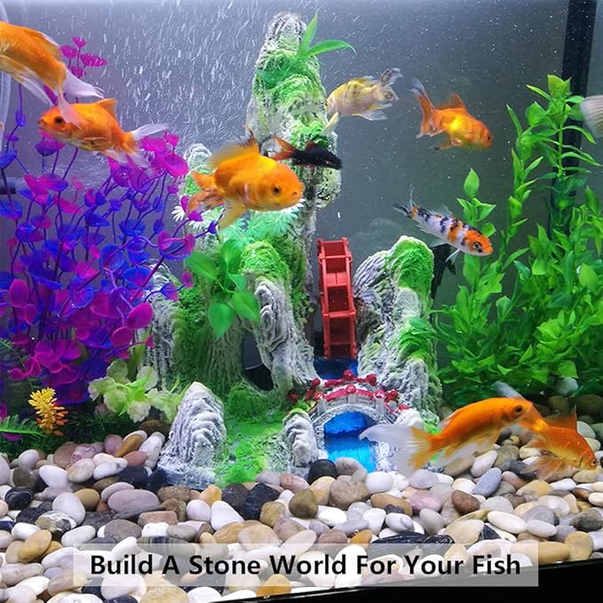 2lbs Pebbles for Indoor Plants, 1-2 Inch Mixed Color High Polished River Rocks Outdoor Decorative Stones Vase Filler Fish Tank Aquariums Landscaping Garden Outdoor and Indoor DIY