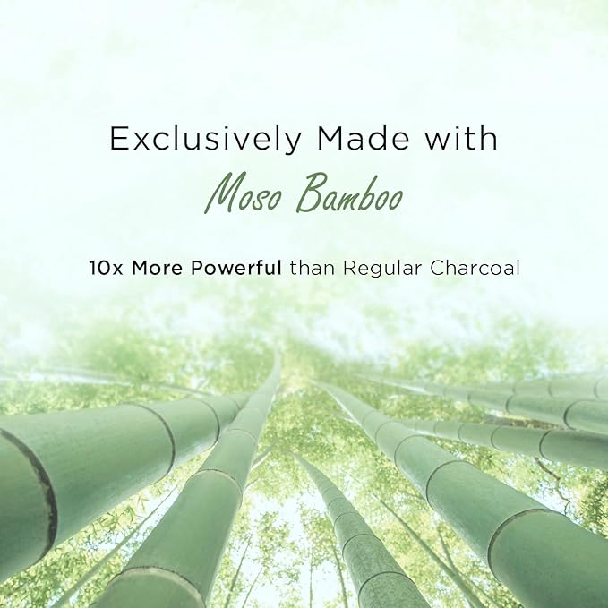 Moso Natural Shoe Deodorizer Inserts, Charcoal Odor Absorber for Shoes, Gym Bag & Boot Deodorizer, Long-Lasting Shoe Odor Elimination, Unscented Air Purifying Bags (Two Per Pack)