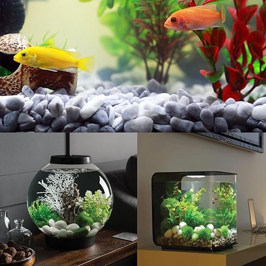 White Rocks for Plants, 1-2 Inch Pebbles for Indoor Plants, 2 lbs River Rocks Decorative White Stones, Ideal for Fish Tank, Vases, Crafting, Home Decor and Garden Landscaping Rocks