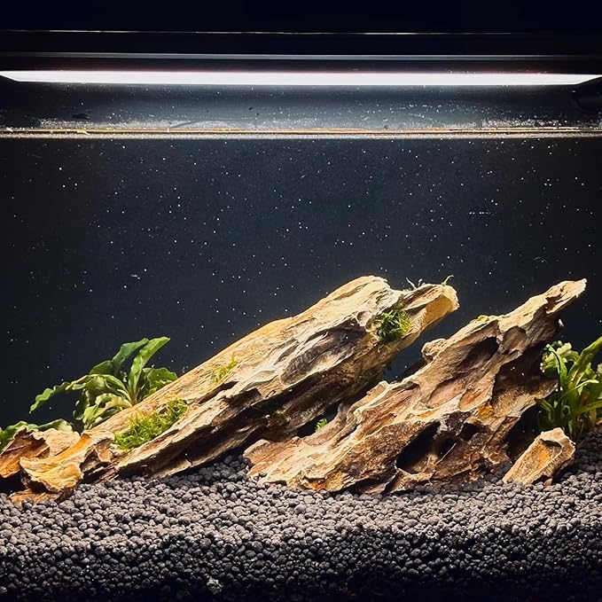 Aquariums Stones Natural Rocks 3Lb Aquarium Rock for Fish Tank Aquascaping,Aquariums,Terrariums,Vivariums,Decorative Stone,Reptile Enclosures,Paludariums,and Gardens-(2-5 Inch)