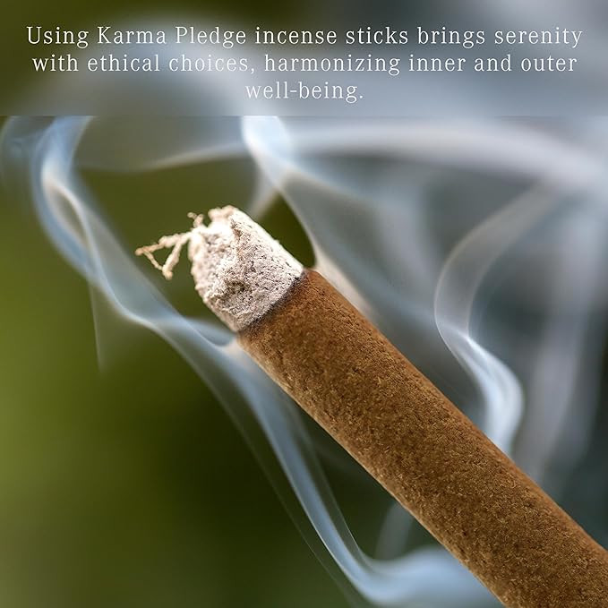 Fougere Incense Sticks, Organic Hand Dipped 100 Sticks with Natural Herbs & Aromatic Ingredients, Burn Time 45 to 60 Minutes, Incense for Positivity, Yoga, Meditation, Relaxation, Spiritual Gift