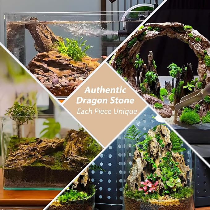 Aquariums Stones Natural Rocks 3Lb Aquarium Rock for Fish Tank Aquascaping,Aquariums,Terrariums,Vivariums,Decorative Stone,Reptile Enclosures,Paludariums,and Gardens-(2-5 Inch)