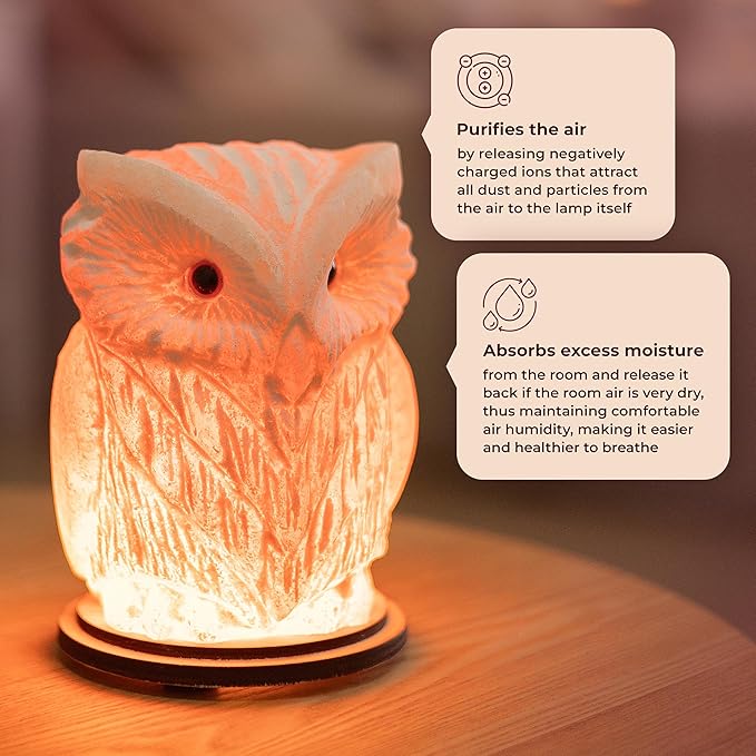 Owl Crystal Salt Lamp H 6.7โ, 4.4 lbs - Pure Natural Rock Salt โ Unique Night Light Lamp - 1 Light Bulb as a Gift - Wooden Present Box - Holiday Gift Ideas - Cool Room Dรฉcor