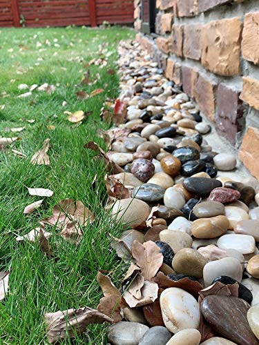 Pebbles for Indoor Plants, Mixed Color Polished River Rocks Decorative Stones for Garden, Aquarium, Vase Fillers, Outdoor Landscaping and Backyard(2-3 inch,20 Pounds)