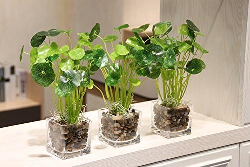 Pebbles Polished Gravel, Natural Polished Mixed Color Stones, Small Decorative River Rock Stones 2 Pounds (32-Oz)