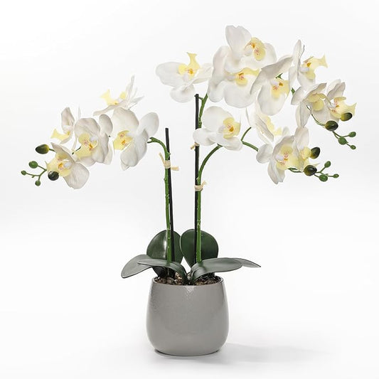 Artificial White Orchid Plant in Gray Ceramic Pot, Realistic Faux Flowers Indoor Decorative Display, 21-Inches Tall, Non-Allergenic, Maintenance-Free