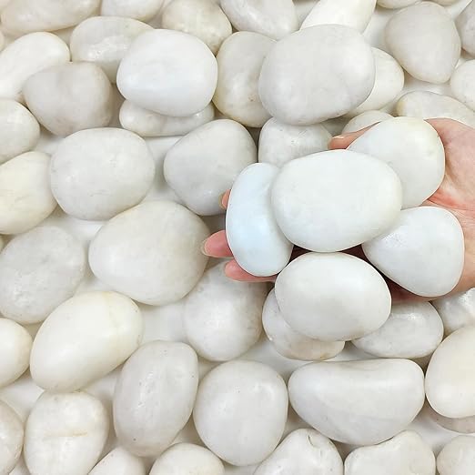 5 lbs Large White River Rocks, 2-3 inch Pebbles for Indoor Plants, Polished Decorative Stones for Planters Vase Aquarium and Outdoor Garden Landscaping Rocks