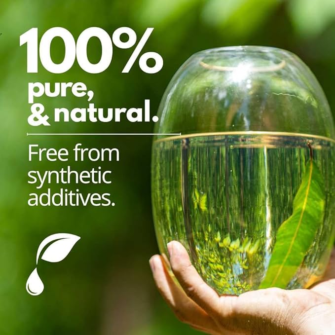 Eucalyptus Essential Oil 100% Pure – One Arome Eucalyptus Oil for Diffuser, Aromatherapy & Massage – Natural Therapeutic Grade (10 ml (Pack of 2), Blend)