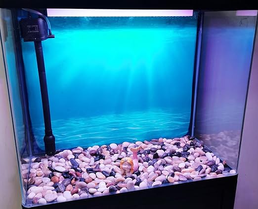 Pebbles for Indoor Plants, Mixed Color Polished River Rocks Decorative Stones for Garden, Aquarium, Vase Fillers, Outdoor Landscaping and Backyard(2-3 inch,20 Pounds)