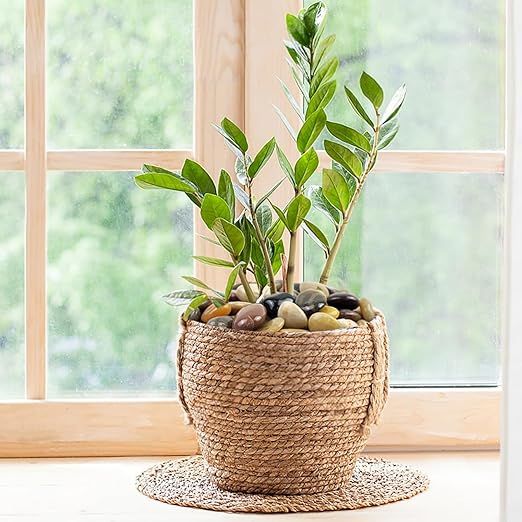 5 lbs River Rocks Pebbles for Indoor Plants, Decorative Mixed Color River Rocks for Potted Plants Landscaping Fish Tank Patio Garden Vase Fountain and Outdoor Decorative Stones