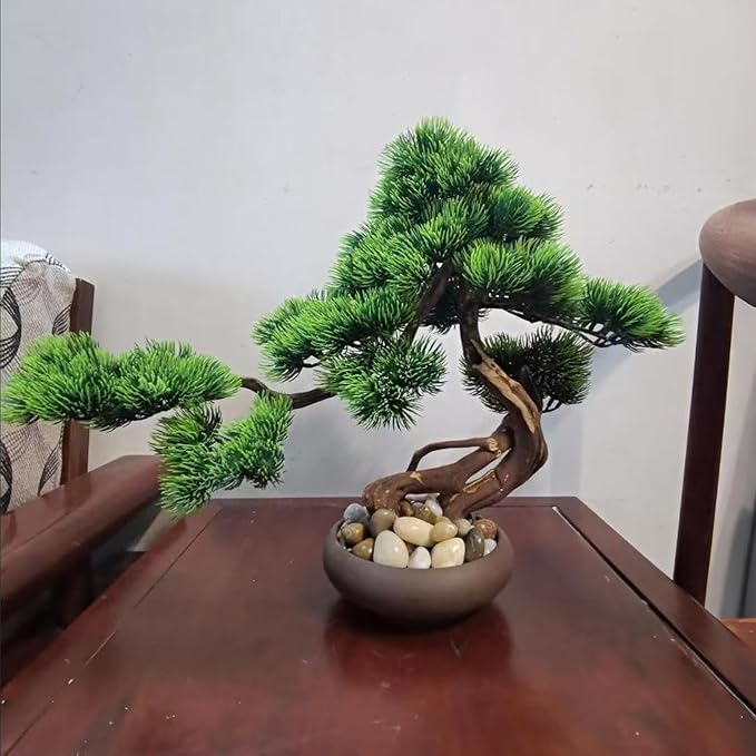 10 lbs River Rocks Pebbles 1-2 Inch Polished Decorative Stones Natural Pebbles for Plants,Aquarium Gravel,Vase Fillers,Zen Garden & Succulent Bowl - Smooth Indoor/Outdoor Landscaping Stones