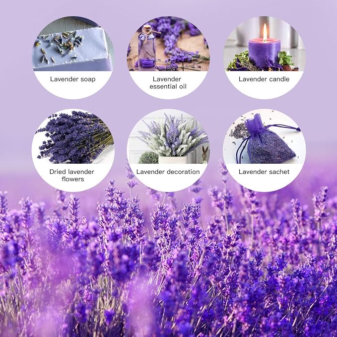 Cedar Space Lavender Dried Flowers 2 Bunches Dried Lavender Ideal Home Fragrance Products for Home Decorations, Wedding, Party, Photography & Flower Arrangements, Total Length 16 Inches