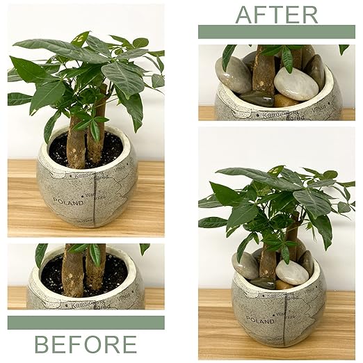 Pebbles for Indoor Plants, Mixed Color Polished River Rocks Decorative Stones for Garden, Aquarium, Vase Fillers, Outdoor Landscaping and Backyard(1-2 inch,40 Pounds)