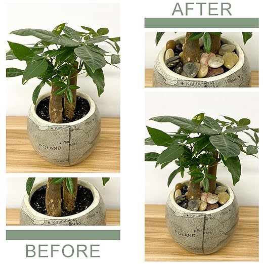 Small Pebbles for Plants, 5 LB Natural Smooth Colorful River Rocks Stones for Plant, Vase Fillers, Aquarium Gravel, Landscaping, DIY Craft Rocks and Outdoor Decorative Stones