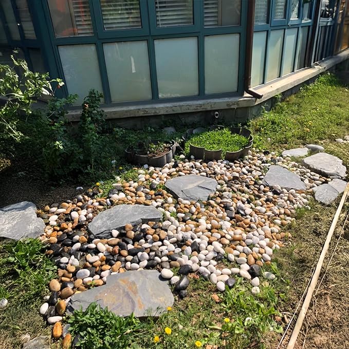 10 lbs River Rocks Pebbles 1-2 Inch Polished Decorative Stones Natural Pebbles for Plants,Aquarium Gravel,Vase Fillers,Zen Garden & Succulent Bowl - Smooth Indoor/Outdoor Landscaping Stones