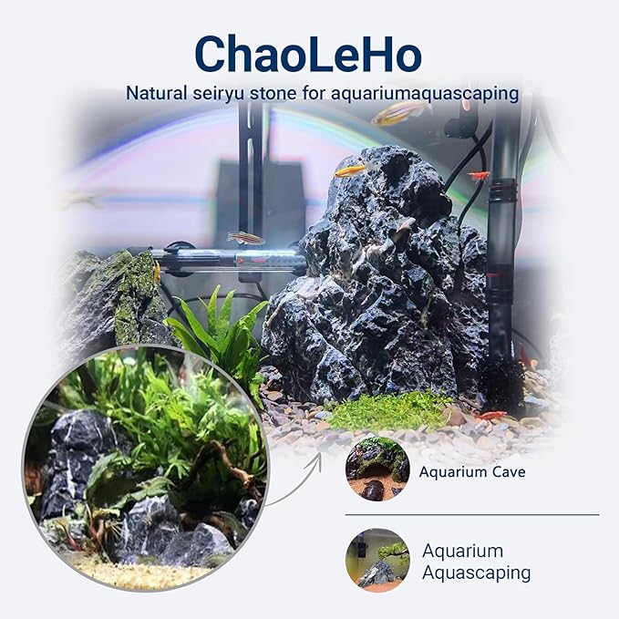 Aquarium Rocks Seiryu Stones Natural Hardscape Stone for Aquariums, Fish Tanks, Bonsai, Terrariums, Wargaming Dioramas, Indoor or Outdoor Gardens-5Lb(2-6 Inch)