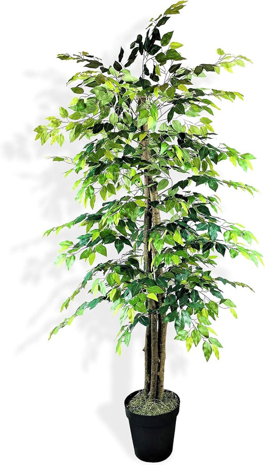Artificial Deluxe Ficus Tree in Black Plastic Pot - Real Wood Trunk, Preassembled, No Maintenance Indoor Faux Plant - Living Room, Home & Office Decor (6ft Tall)