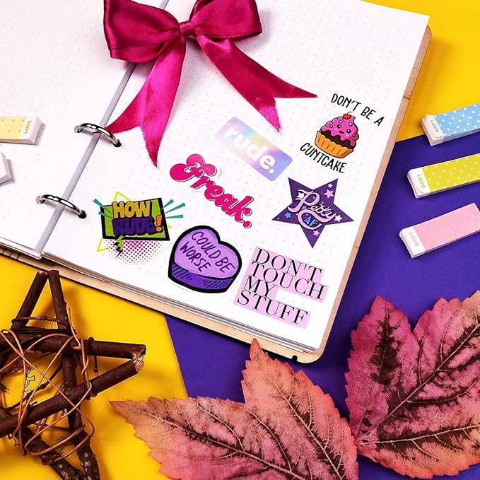 BulbaCraft 100Pcs Funny Rude Stickers for Adults, Crude Humor Stickers - Rude Gifts for Women, Gifts for Women & Men