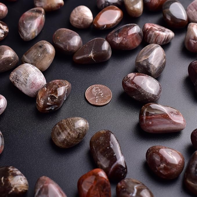 Polished Stone Set Petrified Wood Crystals, 0.8" Handpicked Tumbled Gemstones Rocks, Pebbles for Reiki, Chakra, Healing, Home Decor