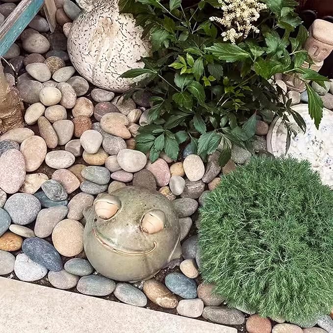 Natural River Rocks-20 lbs of Pebbles and River Stones,2-3 Inch Plant Rocks for Landscaping,Garden Paving,Crafting,Walkways,and Outdoor Decorative Stone,Mexican Beach River Rocks