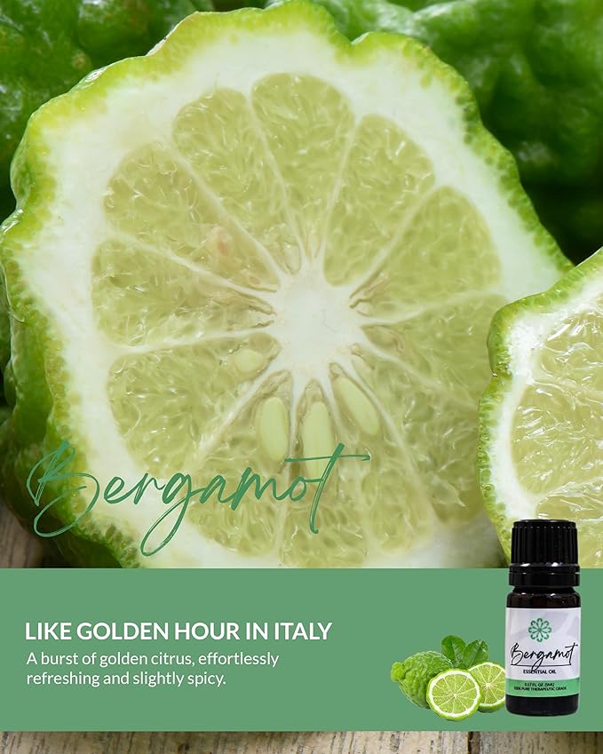 Essence Pearl Travel Case - Wearable Aromatherapy Kit with Nasal Diffuser Rings, Soaking Bay, and 5mL Essential Oil – Portable Wellness Gift Set for On?The?Go Self Care