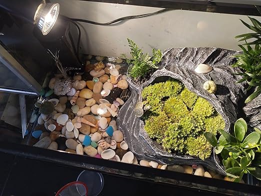 Pebbles for Indoor Plants, Mixed Color Polished River Rocks Decorative Stones for Garden, Aquarium, Vase Fillers, Outdoor Landscaping and Backyard(1-2 inch,40 Pounds)