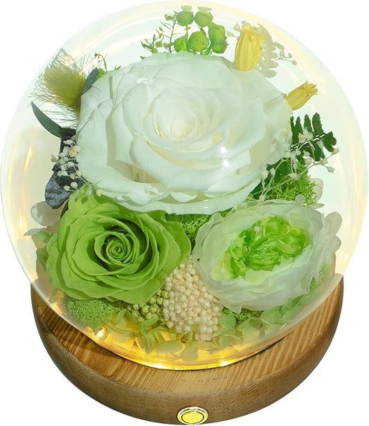 Valley of Rain & Forest Long-Lasting Real Flowers, Unique Floral Gift For you to send Love for All Occasions, for Indoor Decoration (White & Green Roses Arrangement)