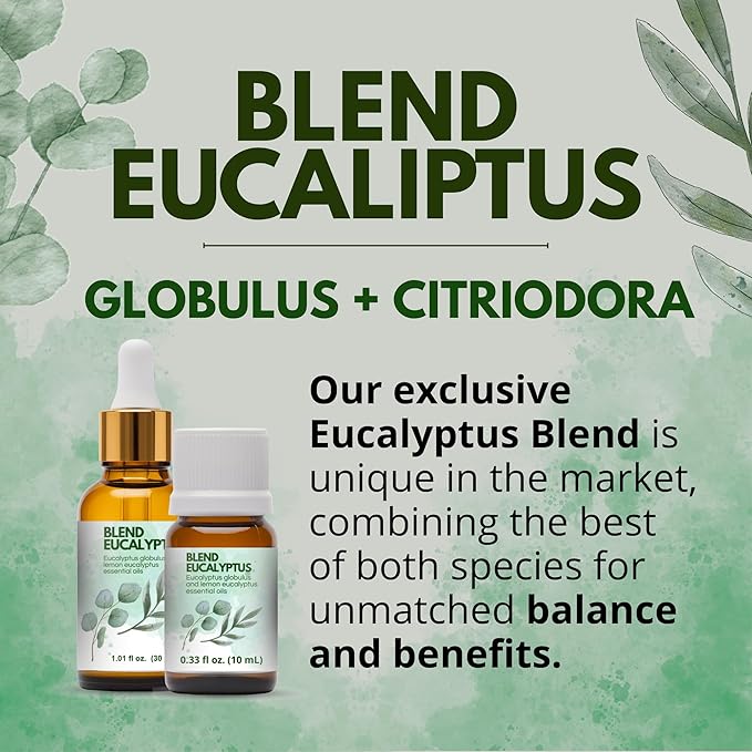 Eucalyptus Essential Oil 100% Pure – One Arome Eucalyptus Oil for Diffuser, Aromatherapy & Massage – Natural Therapeutic Grade (10 ml (Pack of 2), Blend)