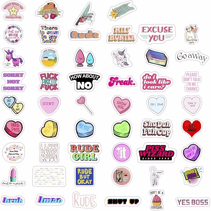 BulbaCraft 100Pcs Funny Rude Stickers for Adults, Crude Humor Stickers - Rude Gifts for Women, Gifts for Women & Men