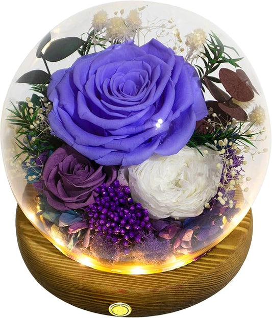 Valley of Rain & Forest Long-Lasting Real Flowers, Unique Floral Gift For you to send Love for All Occasions, for Indoor Decoration (Violet Rose, Purple & White Austin Roses)