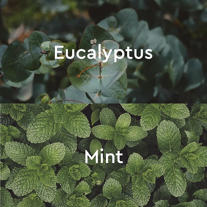 Kneipp Under The Weather Eucalyptus Aromatherapy Bubble Bath - Good for Respiratory Wellness - Vegan - Sulfate Free - 13.5 fl oz - Up to Eight Baths