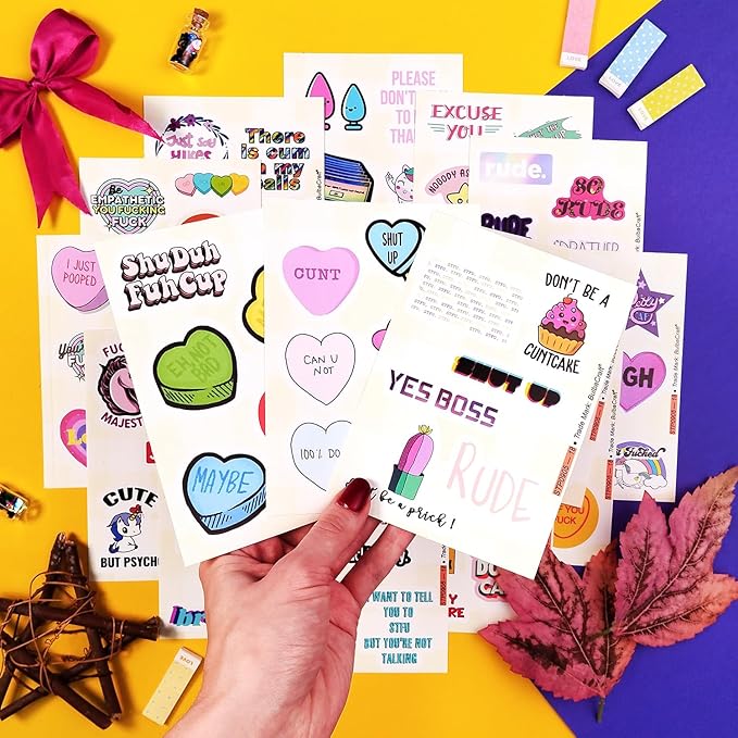 BulbaCraft 100Pcs Funny Rude Stickers for Adults, Crude Humor Stickers - Rude Gifts for Women, Gifts for Women & Men