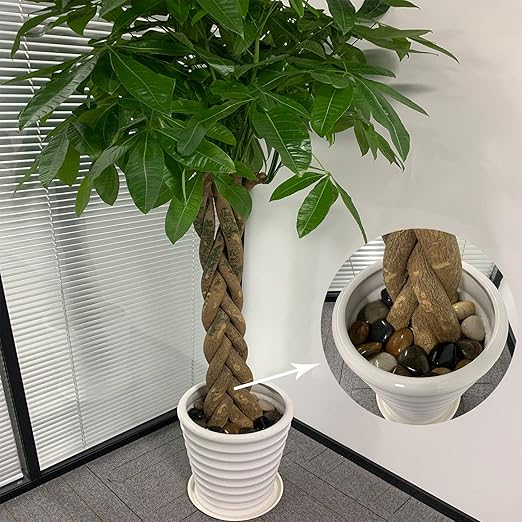 40lbs Large River Rocks for Outdoor Landscaping, 2-3 Inch Natural Decorative Pebbles for Potted Plants Aquarium Fountain Garden Rocks and Yard Paving Stones