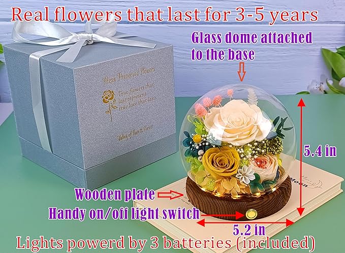 Valley of Rain & Forest Long-Lasting Real Flowers, Unique Floral Gift for You to Send Love for All Occasions, for Indoor Decoration (Champagne & Yellow Roses Arrangement)