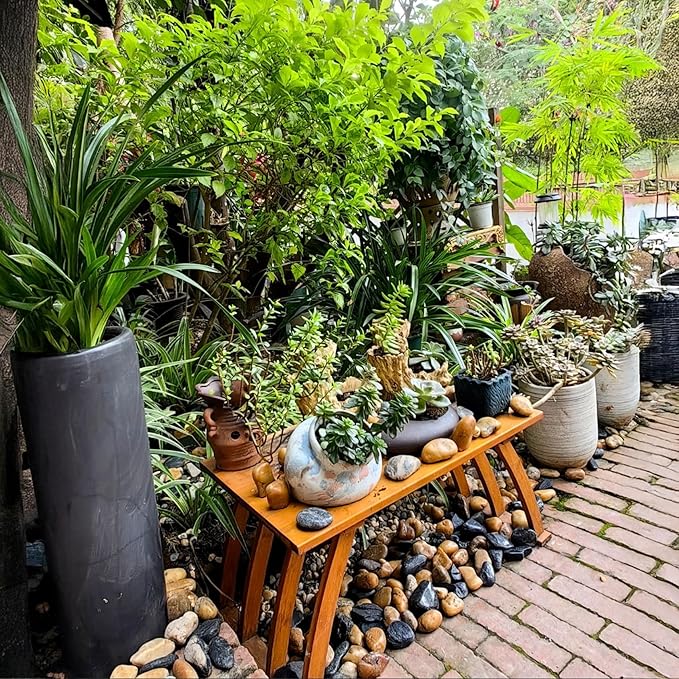 10 lbs River Rocks Pebbles 1-2 Inch Polished Decorative Stones Natural Pebbles for Plants,Aquarium Gravel,Vase Fillers,Zen Garden & Succulent Bowl - Smooth Indoor/Outdoor Landscaping Stones