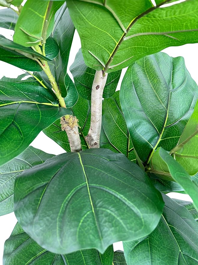 Cypress & Alabaster Handmade 6ft Oversized Fiddle Leaf Fig Ficus Lyrata Artificial Tree with Ethically Sourced Real Wood Trunks, Hypoallergenic, 6-Foot, Green