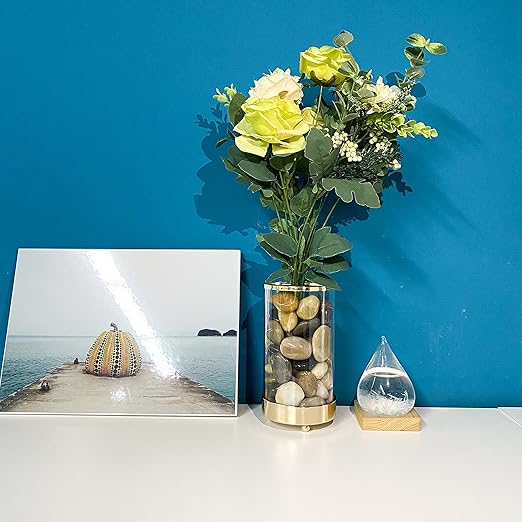 2 lbs Pebbles for Plants, 1-2 inch Polished River Rocks for Plants Indoor Aquarium Terrarium, Stones for Planters Vase Landscaping and Outdoor Yard Decorative Stones